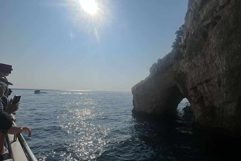 Zante: Crucero por la isla y las tortugas en EuroskyNaufragio Cuevas Azules e Isla de las Tortugas Cuevas Ceri