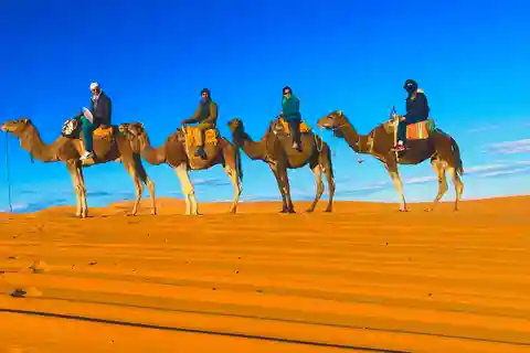 3-Day Marrakech to Fes Private Tour via Merzouga Desert