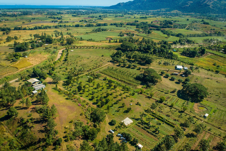 Fidji : visite d&#039;une ferme, animaux, miel et cuisine fidjienneFiji: Farm Tour: Animals, Honey Tasting &amp; Fijian Cooking