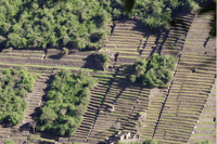 Choquequirao Trek 4 días - Housity