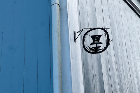 Da Helsinki: Rovine del castello di Raasepori e centro storico di Ekenäs