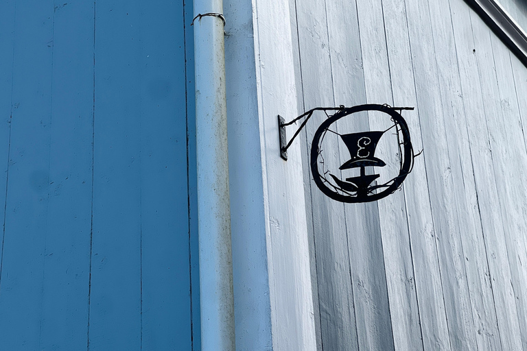 Da Helsinki: Rovine del castello di Raasepori e centro storico di Ekenäs