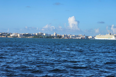 San Juan: Guided City Tour with Photo Stops (Hop-On Hop-Off) Private Tour – Pick-up directly at your location