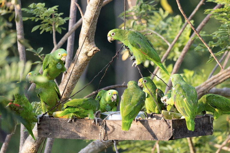 UTV & Horseback Tour with Wildlife Views from Cartagena