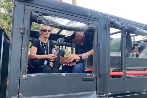 Sri Lanka: 12-Day Cultural Journey for Seniors