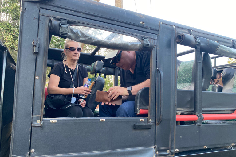 Sri Lanka: 12-Day Cultural Journey for Seniors