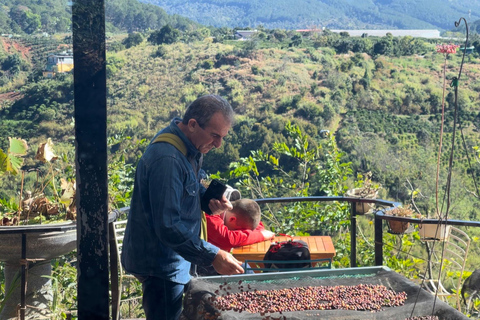 Dalat: piantagione di caffè, fabbrica di seta e tour culturaleDalat: tour tra piantagioni di caffè, fabbriche di seta e cultura