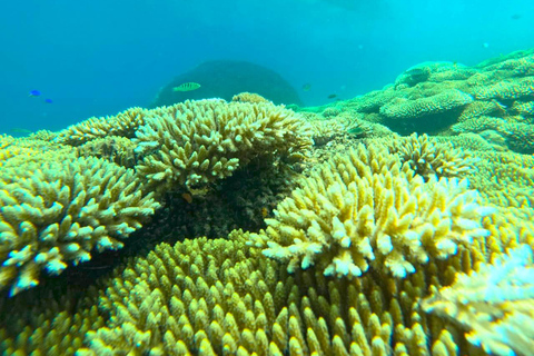 Excursão exclusiva de pesca e snorkeling em Lombok através de 4 Gilis