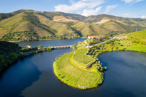 Porto: Vinresa Vintur i Dourodalen med en sommelier och båttur