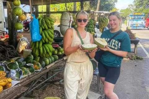 Kandy: Nuwara Eliya, Ambewela Drop Tour & Ella Train journey Kandy: Nuwara Eliya, Ambewela Drop Tour by car or van
