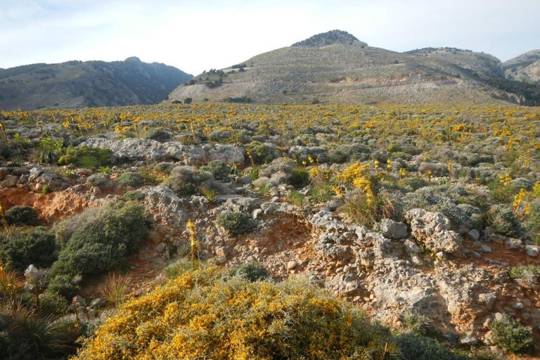 La visite privée des gorges d&#039;ImbrosVisite privée des gorges d&#039;Imbros