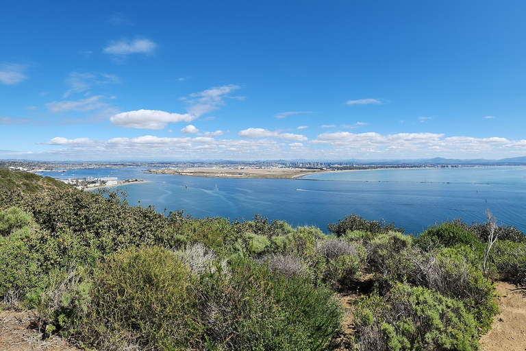 San Diego: Spiagge e scogliere: tour guidato autogestito