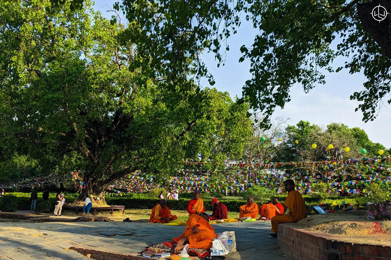 1 Week Buddhist Monastery & Meditation Retreat in Lumbini 1 week Buddhist Monastery & Meditation Retreat in Lumbini