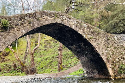 From Paphos: Troodos 4x4 Safari with Picnic & Winery visit