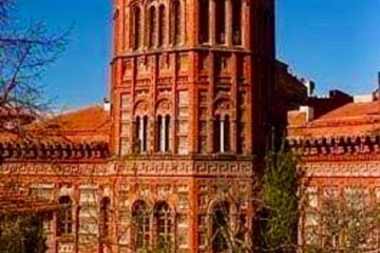 Istanbul: 7-Day Turkey Tour with Flights and TransfersShared Option with bus station &amp; airport transfers and drops