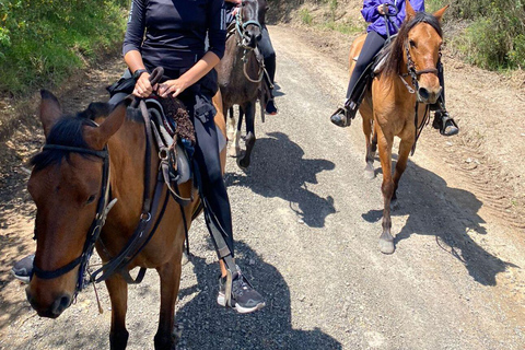 Bogotà: Passeggiata a cavallo tra le colline orientali