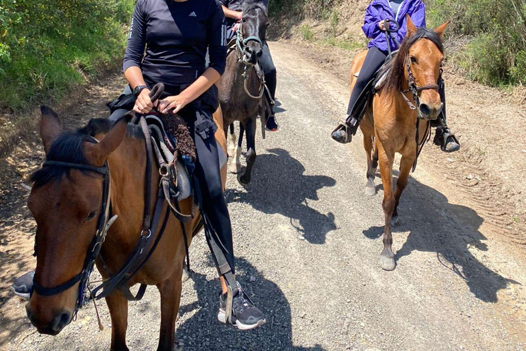 Bogotà: Passeggiata a cavallo tra le colline orientali