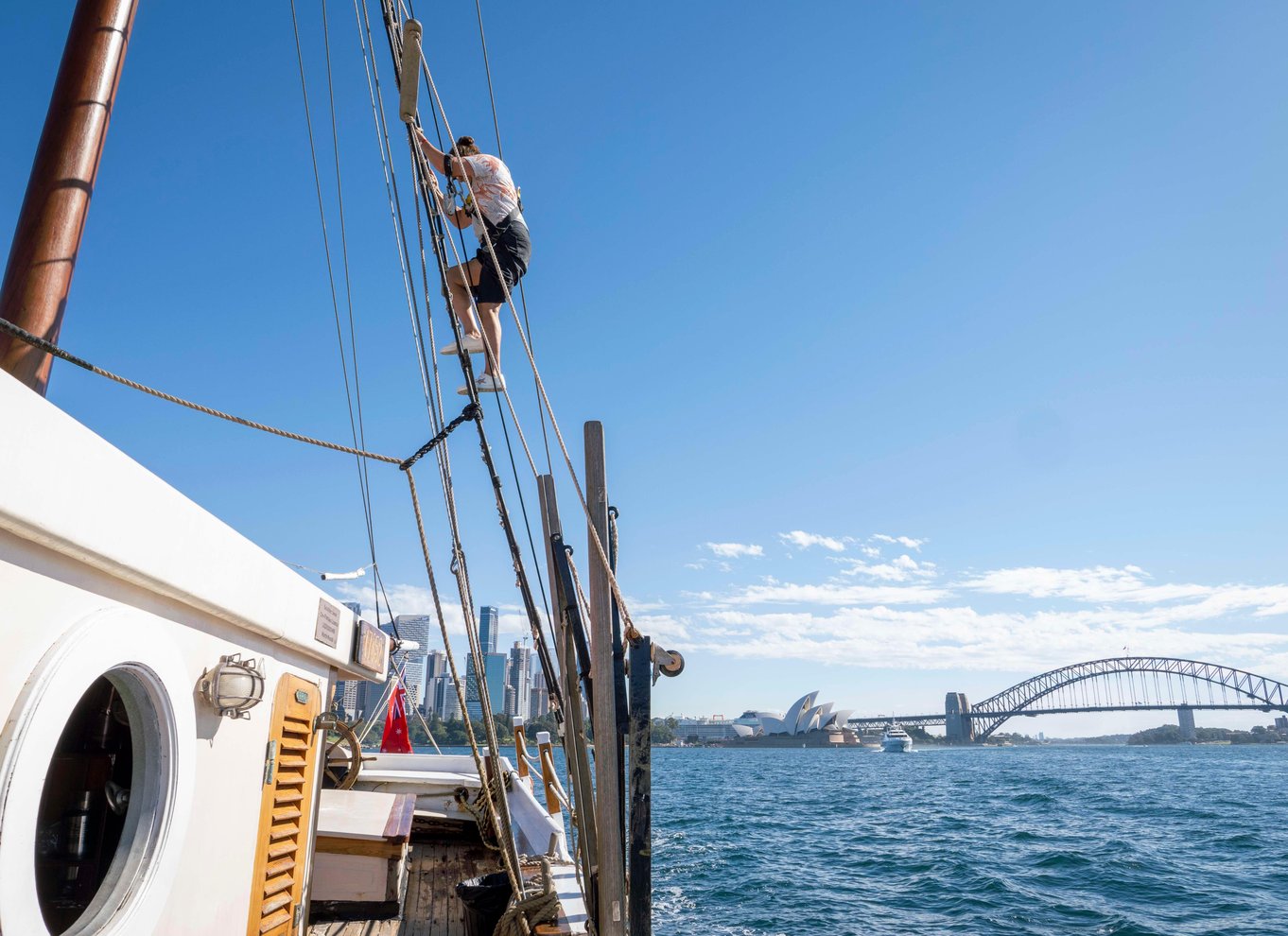 Sydney Havn: Eftermiddagskrydstogt med store skibe