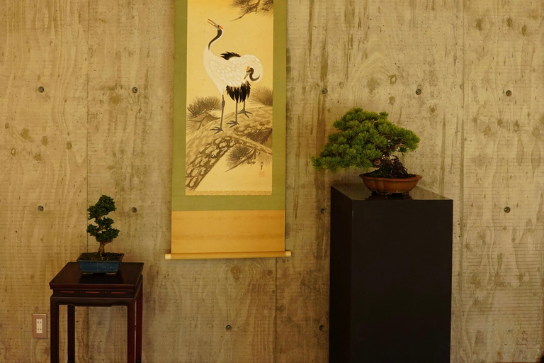 Hiroshima : expérience personnalisée de bonsaï et wabi-sabiHiroshima : expérience personnalisée autour du bonsaï et du wabi-sabi