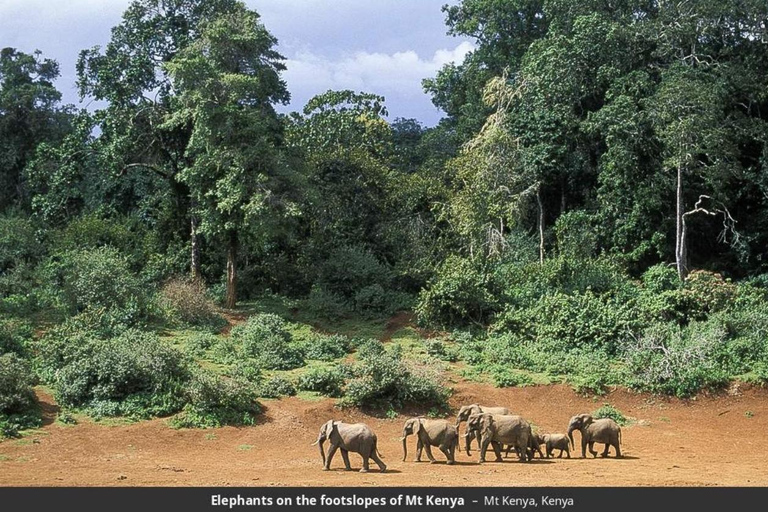 Von Nairobi aus: Mount Kenia 4-tägiges Wanderabenteuer