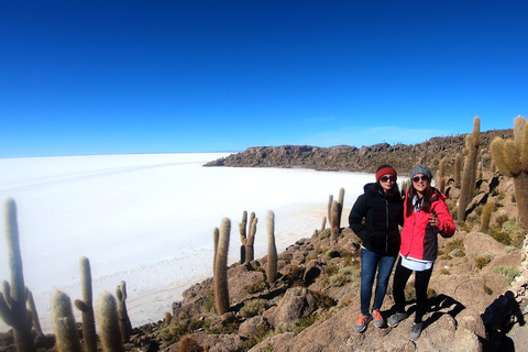 From La Paz: Sajama & Uyuni Salt Flats 4-Days Scenic Journey