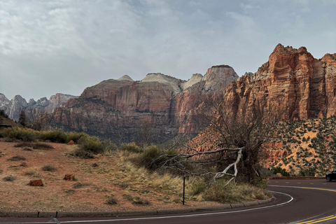 Tur i liten grupp Zion Bryce Canyon National från Las Vegas