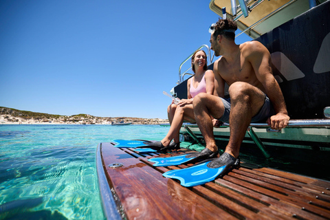 Rottnest Island: Guided Snorkeling Boat Tour with Gear
