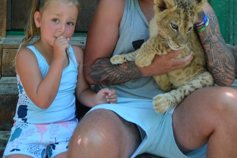 Alanya: Excursão Mix em autocarro Cabrio, Lion Safari, passeio de barco com almoçoAlanya: Excursão mista em autocarro Cabrio, Lion Safari, passeio de barco com almoço