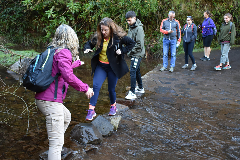 Madeira: Excursão de 1 dia em 4x4 com serviço de busca no hotel