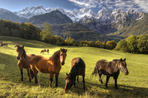 Bled: Horseback Riding Tour in Triglav National Park