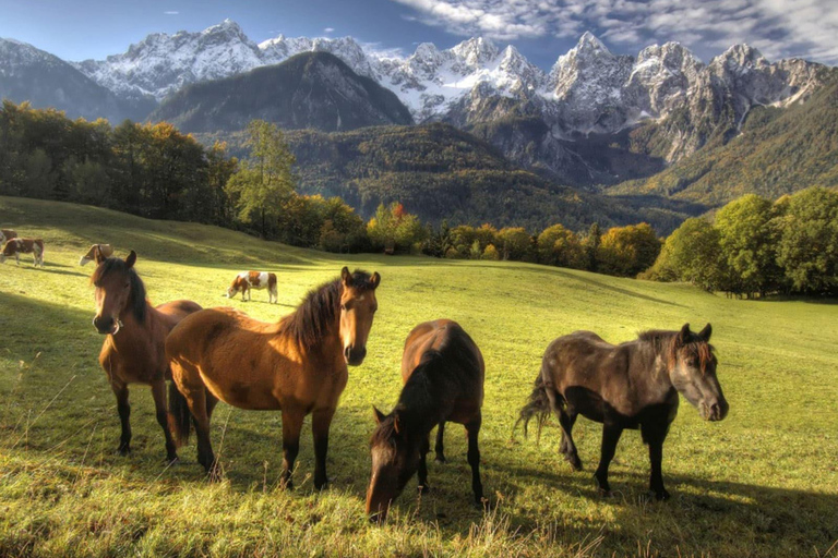 Bled: Horseback Riding Tour in Triglav National Park