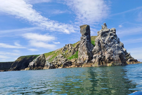 Dublin: Dublin Bay and Ireland's Eye Boat Tour