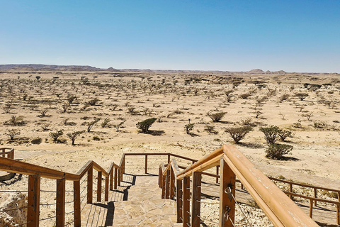 塞拉莱：全天沙漠越野之旅（含午餐）塞拉莱：全天沙漠探险之旅（含午餐）