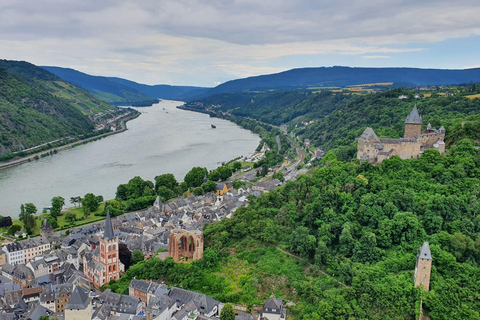 Tour privado por el Valle del Rin con crucero fluvial y cata de vinos