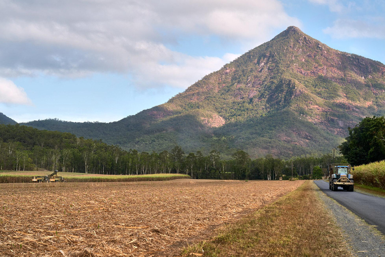 Cairns: Rainforest, Coastline and Landmarks Guided Tour