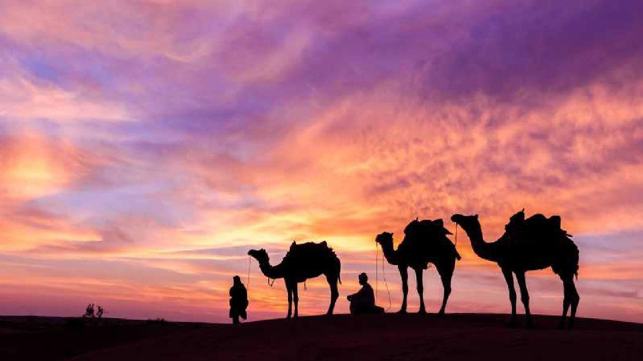 Von Tunis, Hammamet & Sousse: Feiere Silvester in der Wüste (2 Tage/1 Nacht)