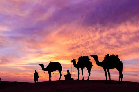 From Tunis, Hammamet & Sousse: Celebrate New Year's Eve in the desert (2 days/1 night) From Tunis, Hammamet, and Sousse: Celebrate New Year's Eve in the desert (2 days/1 night)