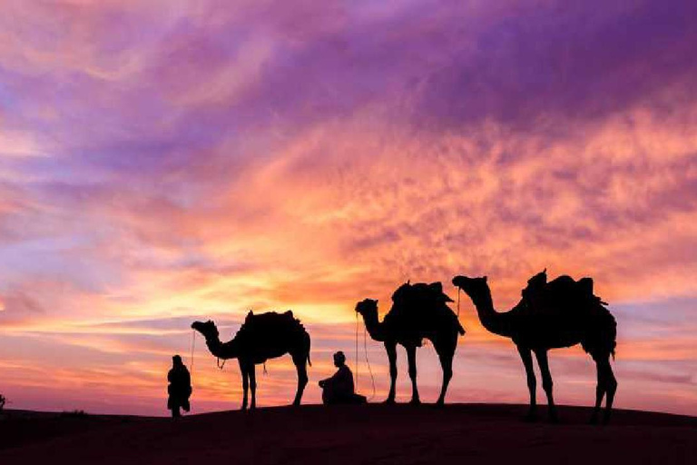 From Tunis, Hammamet & Sousse: Celebrate New Year's Eve in the desert (2 days/1 night) From Tunis, Hammamet, and Sousse: Celebrate New Year's Eve in the desert (2 days/1 night)