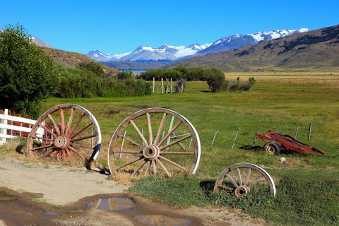 Buenos Aires: A Private Day at an Authentic Argentinian Farm