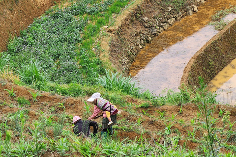 Tour Ha Noi - Mu Cang Chai treckking 3 days 2 nights