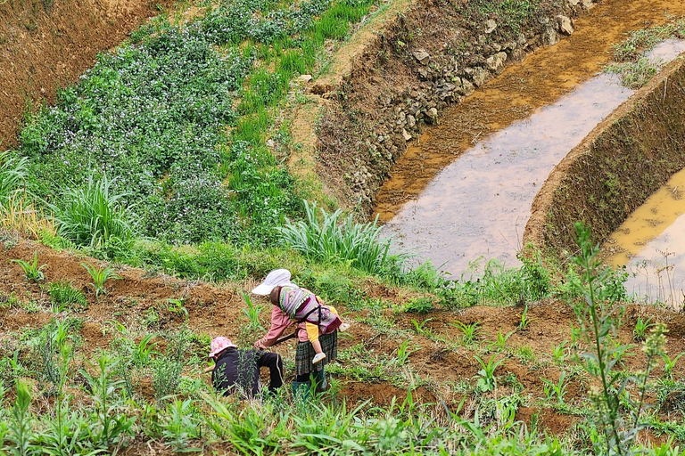 Tour Ha Noi - Mu Cang Chai treckking 3 days 2 nights