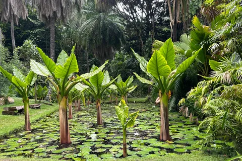 Visite d'une jounée à Mahé