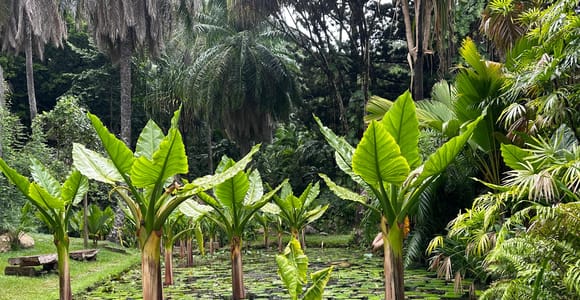 Full day Mahe Tour