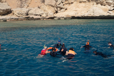 From Sharm: Ras Mohamed, White Island Snorkel & Dive & Lunch 1 Intro Dive Option Beginners & Professional