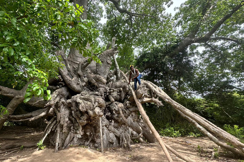 Zanzibar: Safar blue private tour with private island lunch