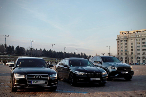 Bucarest: tour del delta del Danubio di 2 giorni con tour in barcaBucarest: tour al delta del Danubio di 2 giorni con tour in barca