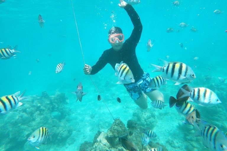 Cartagena: Desfruta de uma excursão de autocarro/barco às 5 Ilhas do Rosário + snorkeling