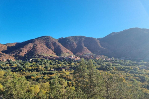 Z Marrakeszu: Jednodniowa wycieczka do doliny Ourika i siedmiu wodospadówMarrakesz: Dolina Ourika, góry Atlas i wodospady