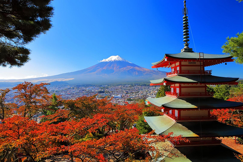 Mount Fuji Day Tour: Instagrammable Spots + Scenic Train From Tokyo (Including ropeway and cruise)