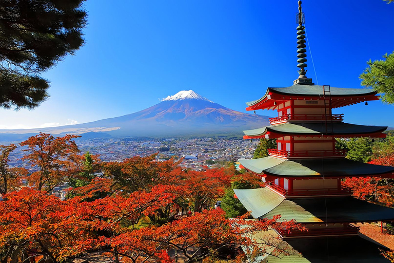 Mount Fuji Day Tour: Instagrammable Spots + Scenic Train From Tokyo (Including ropeway and cruise)